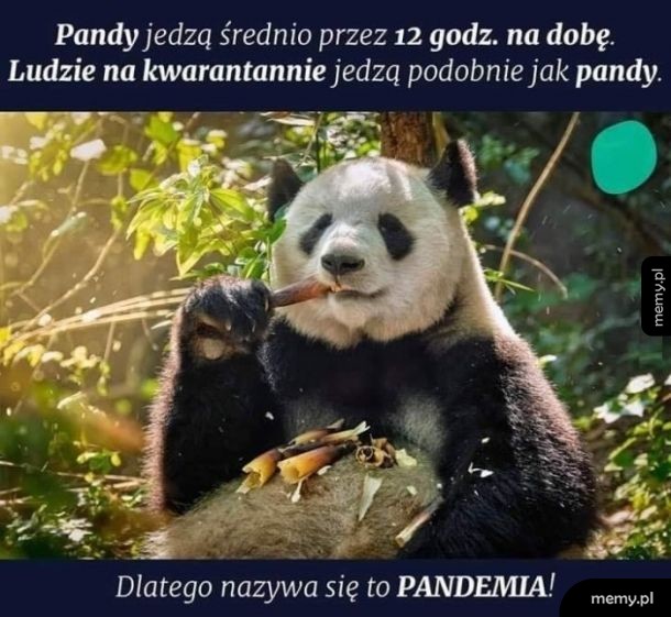 Pandemia