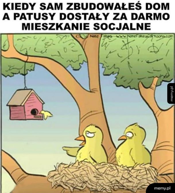 Najgorzej