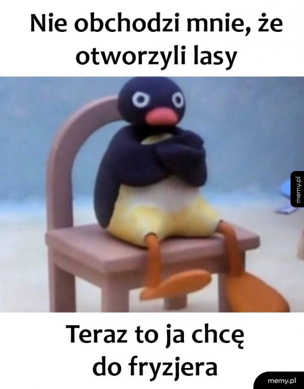 Dokładnie tak