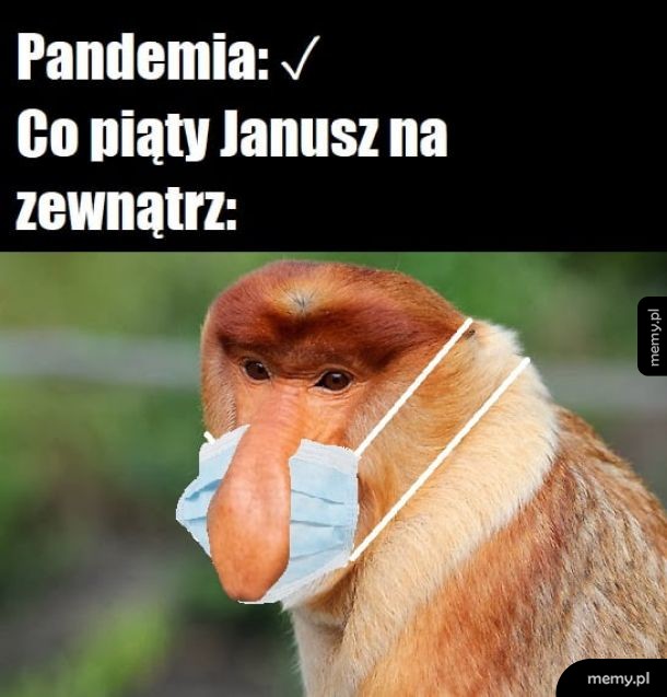 Instrukcje były niejasne