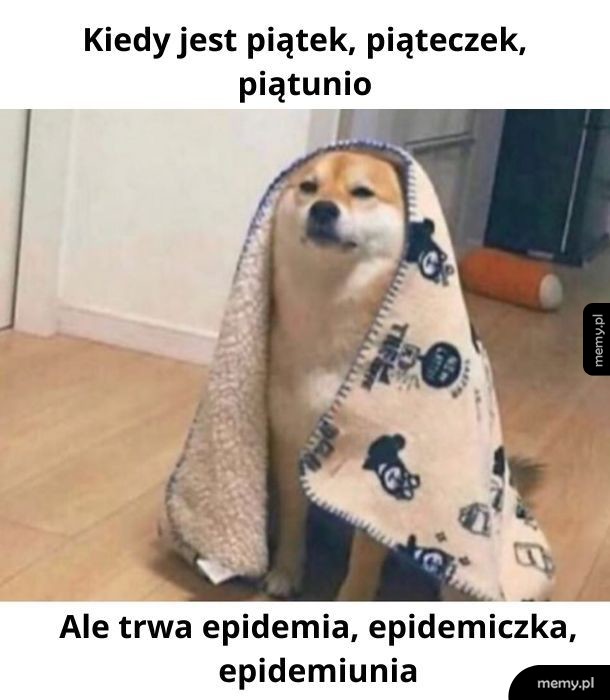 Żadnej różnicy - piątek czy wtorek