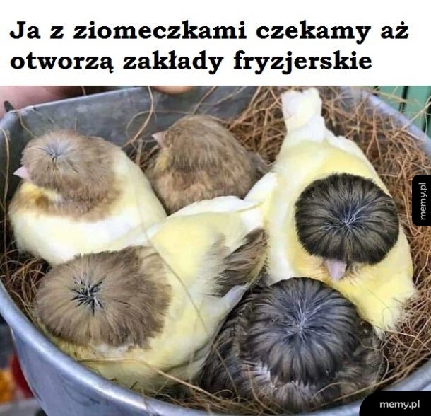 Kiedy? Się pytam.