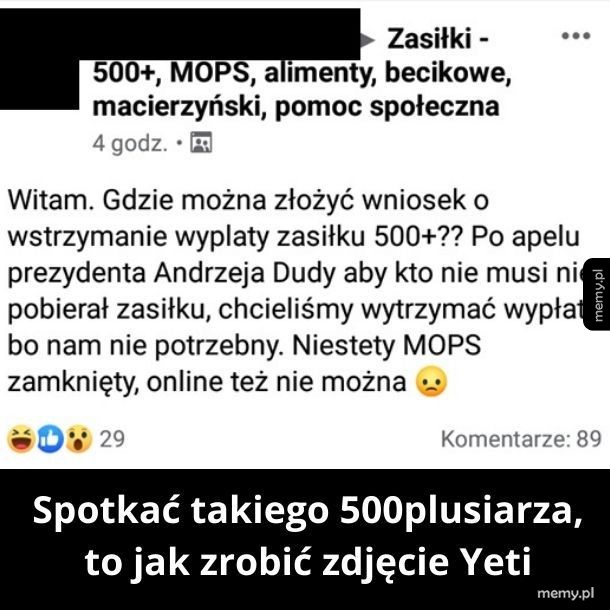 500 plus