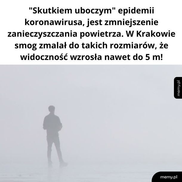 Pięknie.