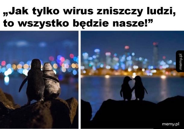Pingwiny