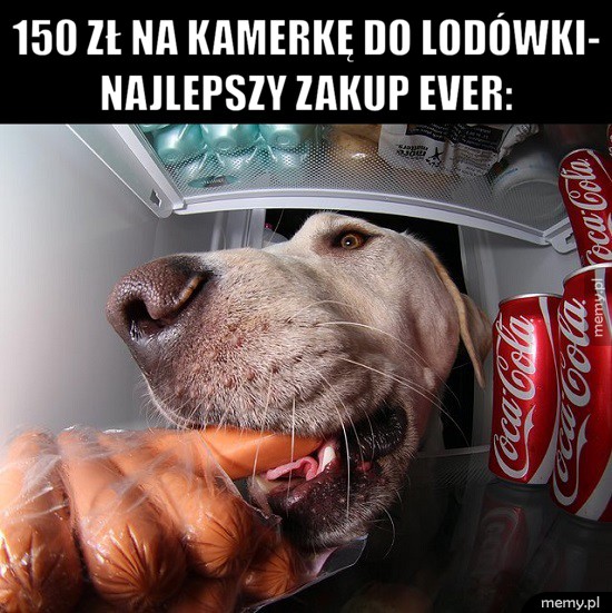 Uszanowanko