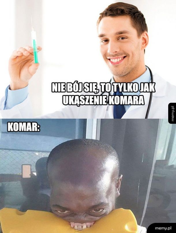 Komar