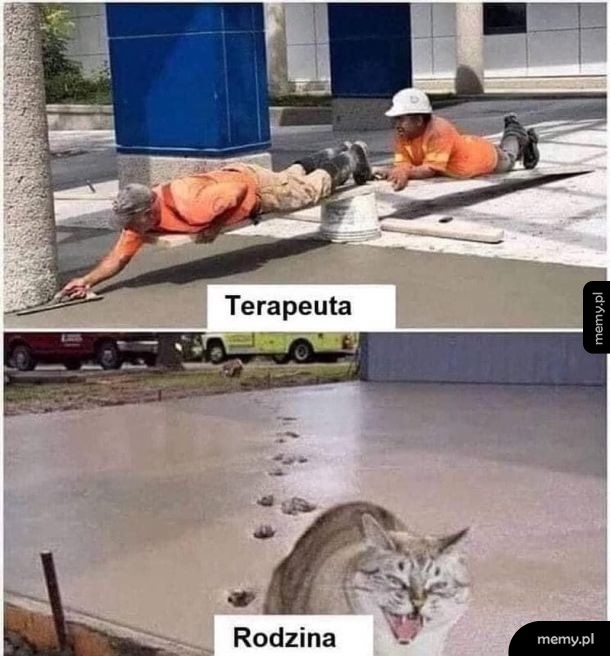 Terapia
