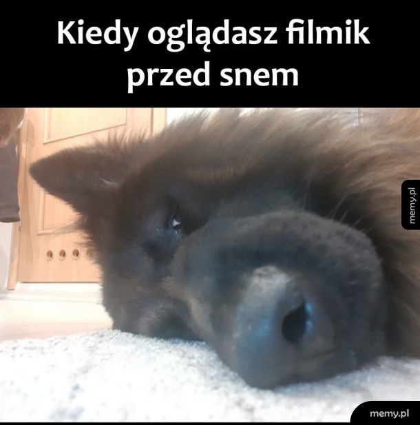 Filmik