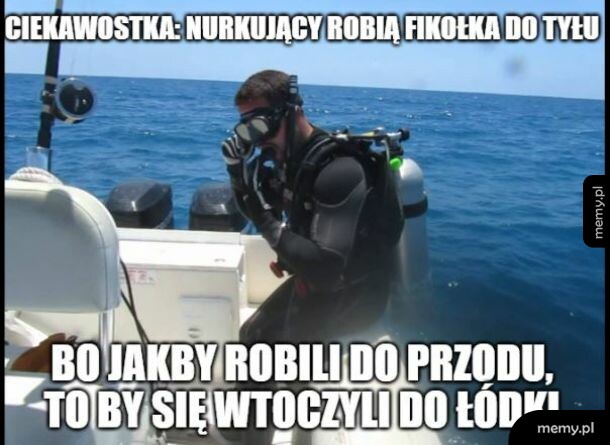 Ciekawostka