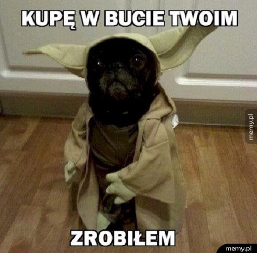 Niedobry Yoda