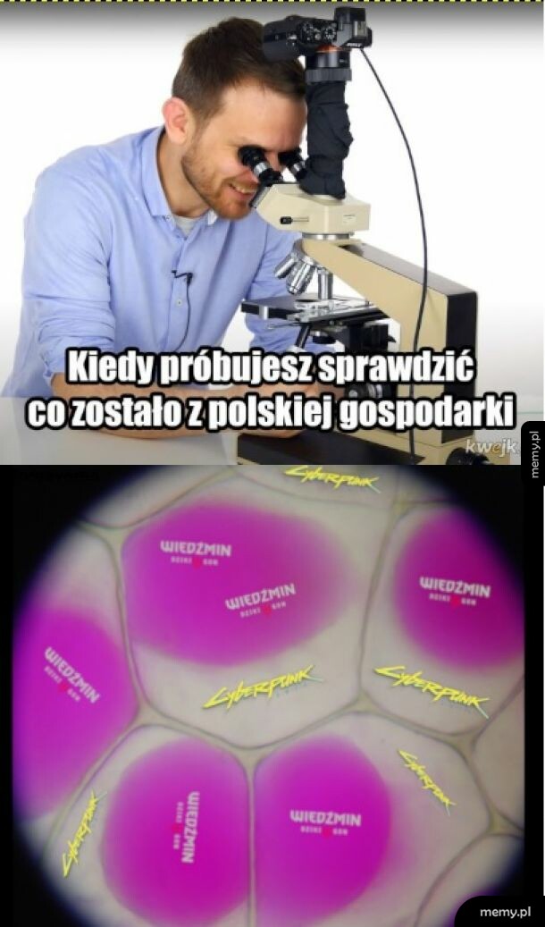 Polska gospodarka