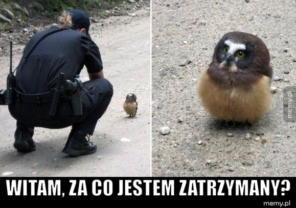 I jakie są teraz procedury?