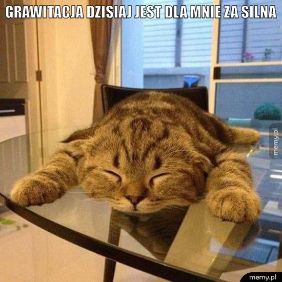 Grawitacja