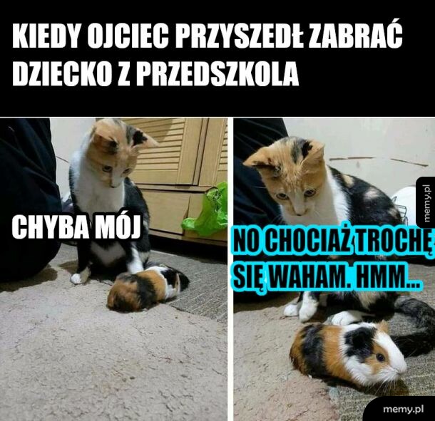 Przedszkole