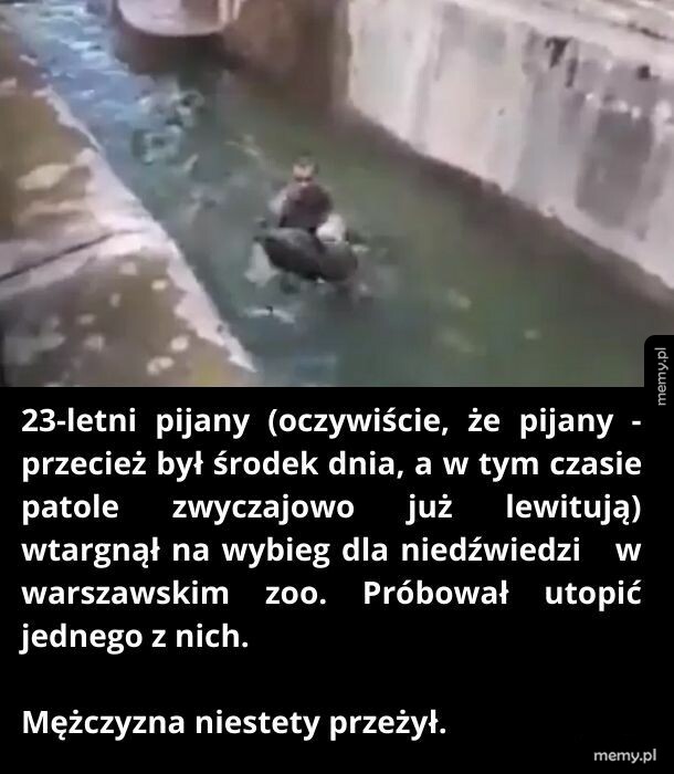 Mężczyzna w zoo