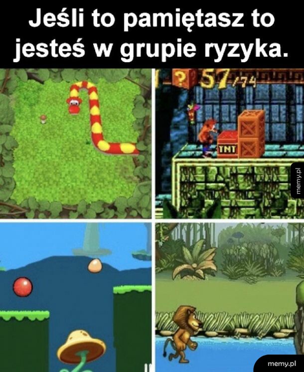 Grupa ryzyka