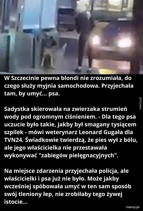 Może ktoś z Was rozpoznaje dziunię?