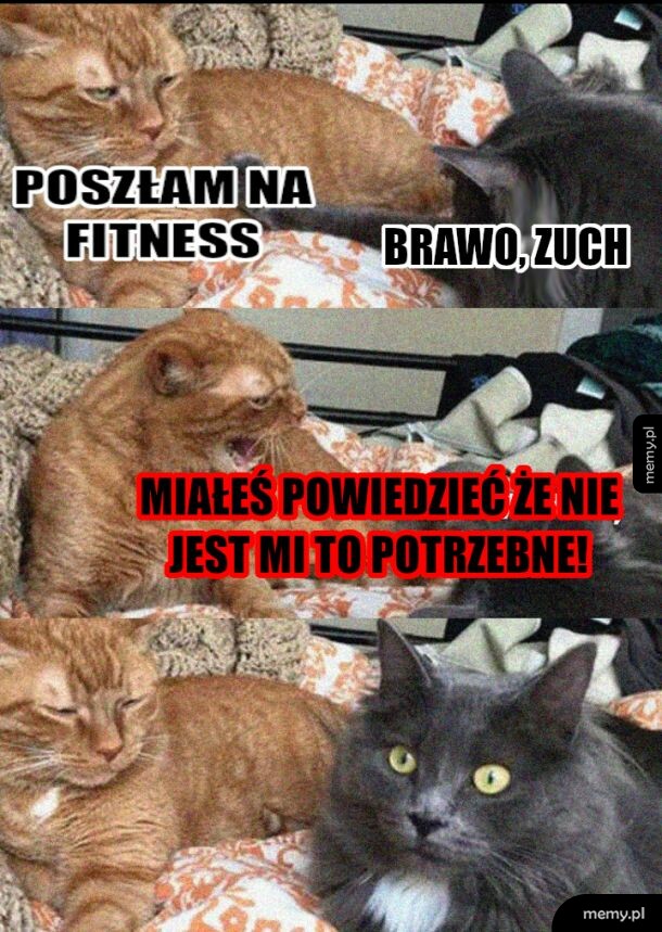 Zła odpowiedź