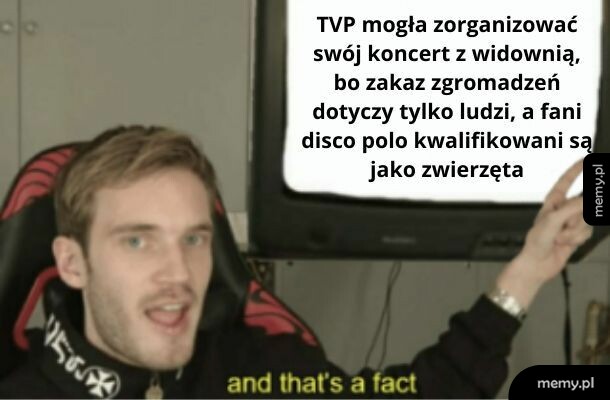 Koncert TVP