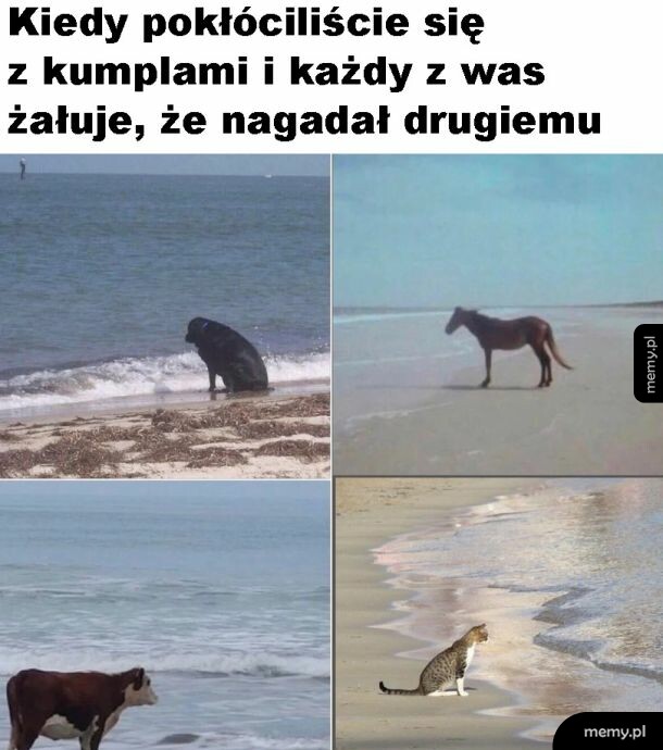 Smutek
