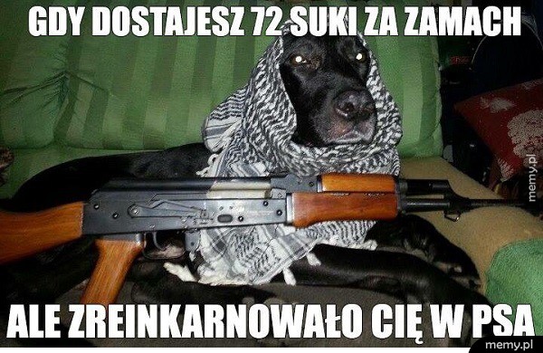 Pech terrorysty