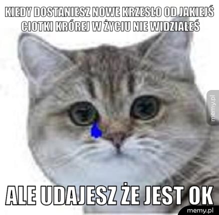 Kiedy dostaniesz nowe krzesło od jakiejś ciotki krórej w życiu nie widziałeś ale udajesz że jest ok