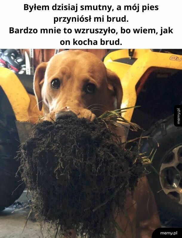 Mój ojciec też mi dzisiaj coś przyniósł. Wstyd.