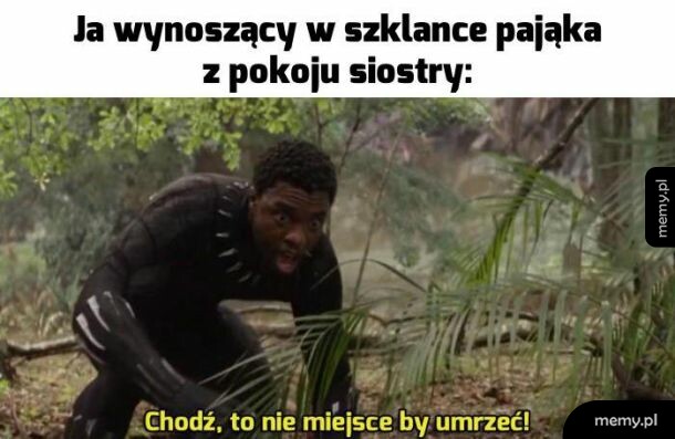 Pająk