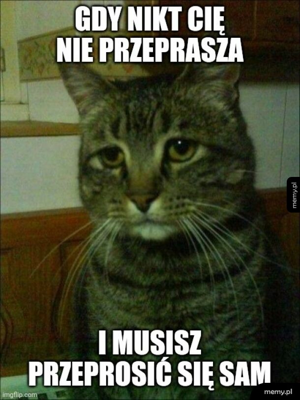 Albo i nie