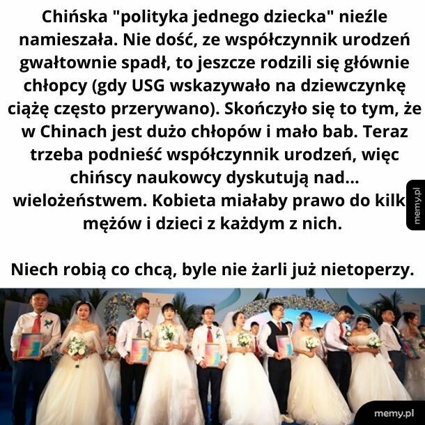 Ja nawet jednego małżonka nie umiem znaleźć, a oni mają mieć kilku???