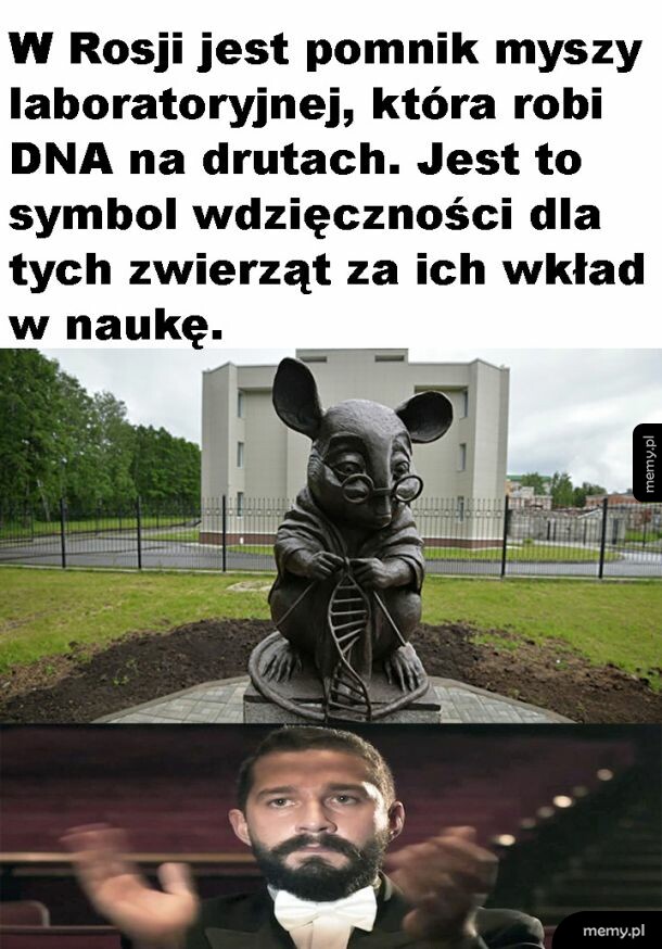 W hołdzie