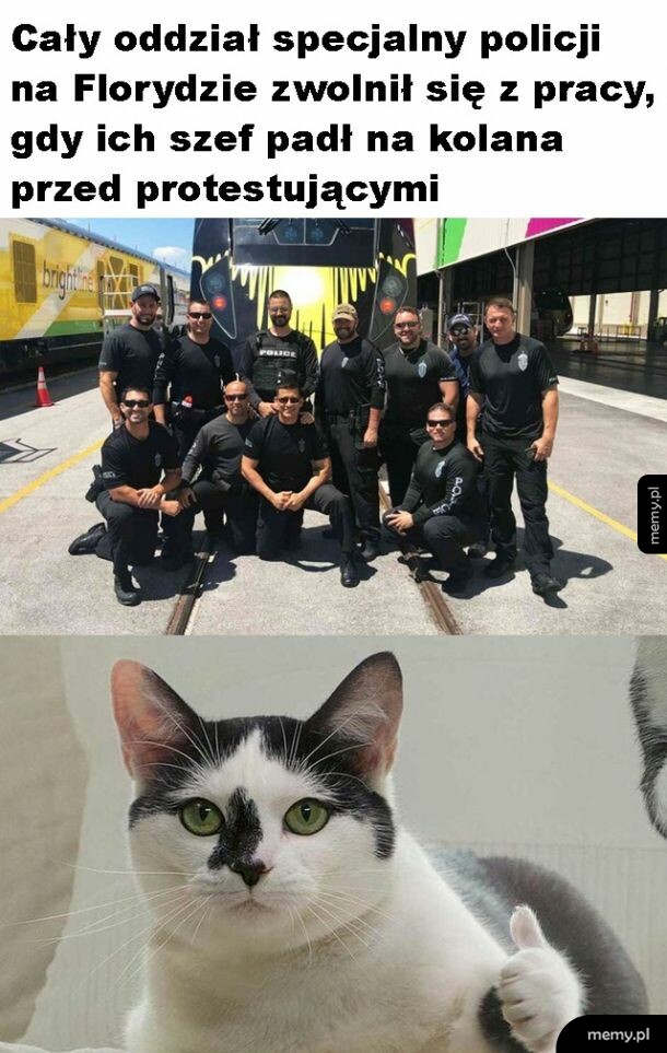 Prawidłowo