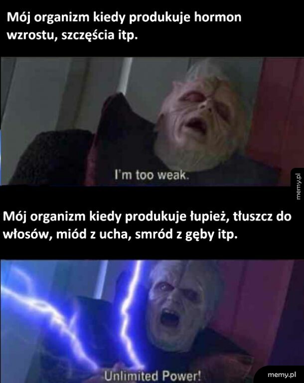 Mój organizm