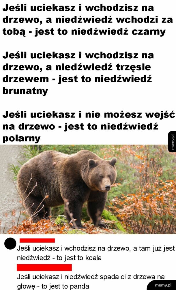 Mini poradnik
