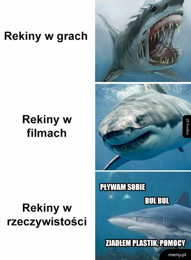 Rekiny