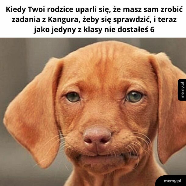 Warto być uczciwym. Może nie w tym kraju, ale gdzieś pewnie warto.