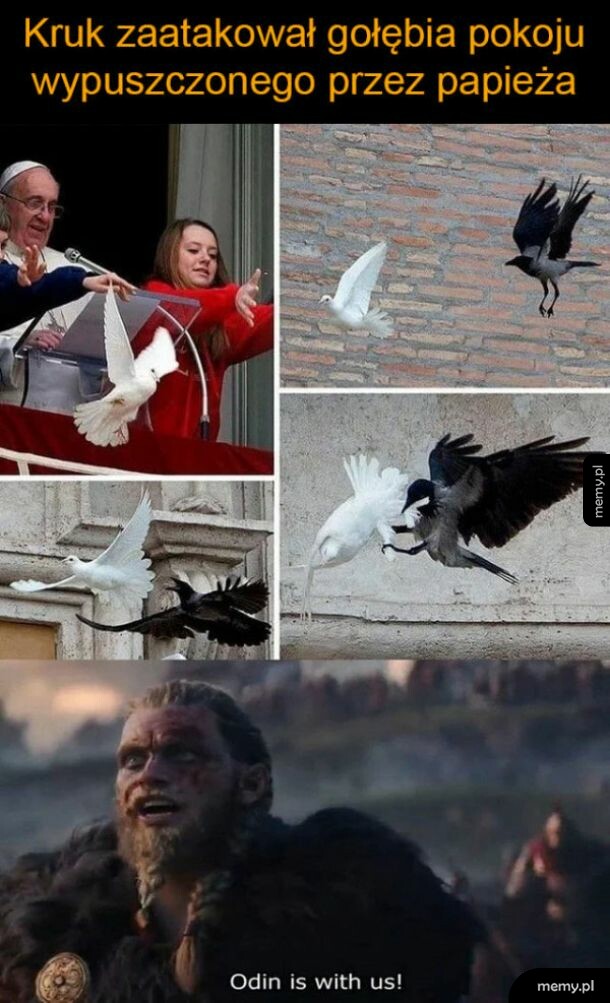 Gołąb pokoju