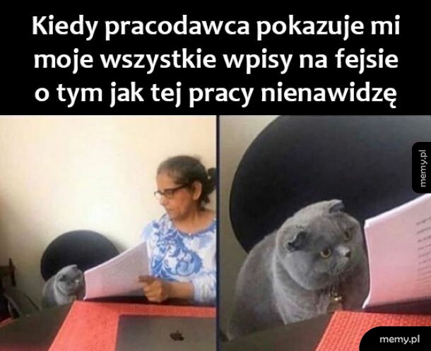 Ja tak tylko pisałem