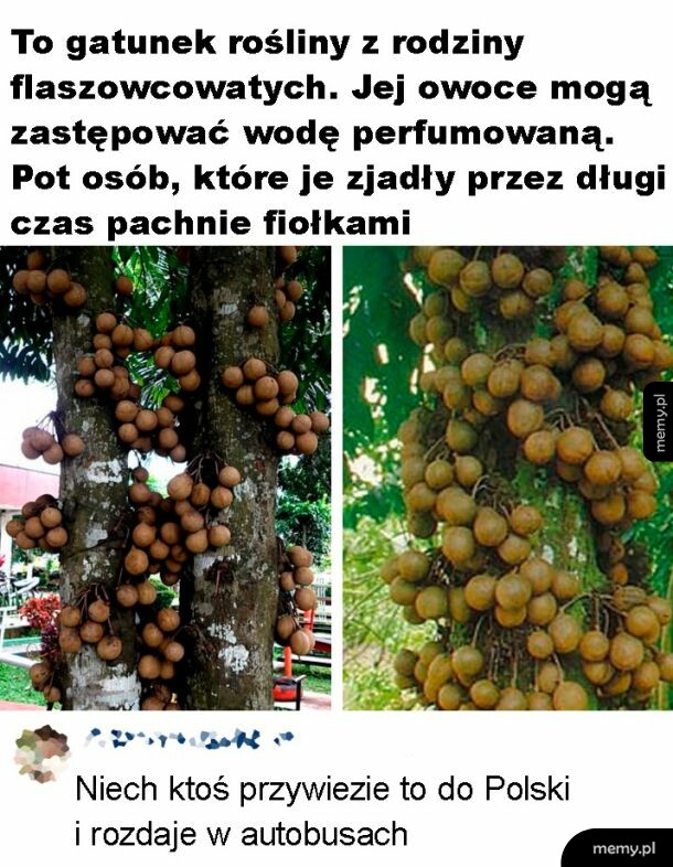 Przydałoby się
