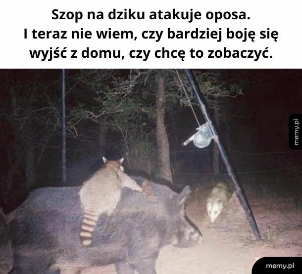Jeszcze do tego księżniczka i mamy bajkę Disneya.
