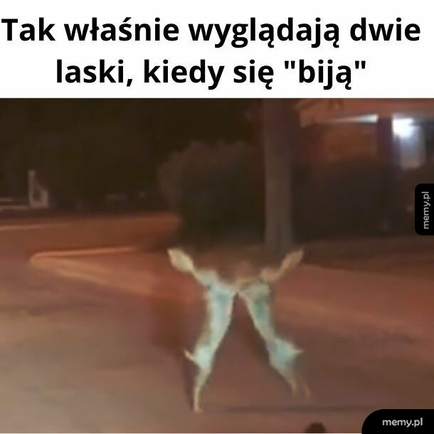 Bitwa