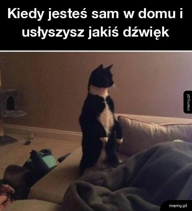 Kto tam