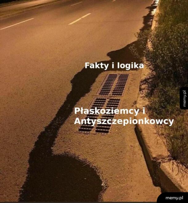 Fakty i logika