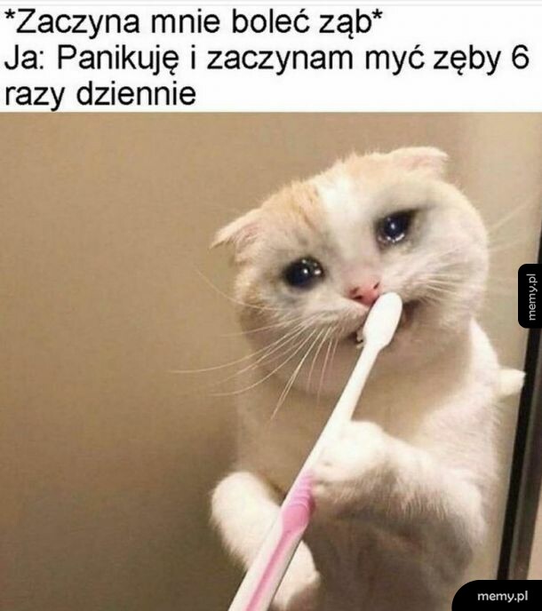 Ból zęba