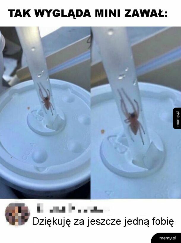Fobia
