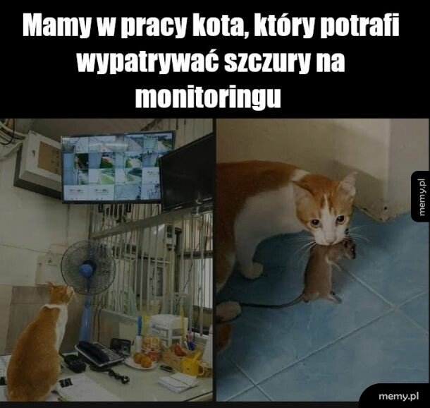 Pracownik roku
