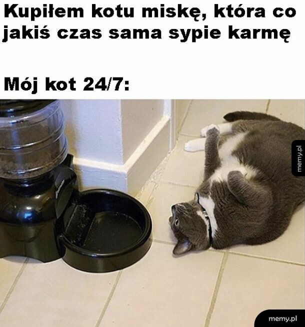 Czeka