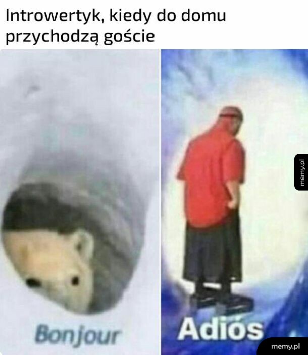 Introwertyk