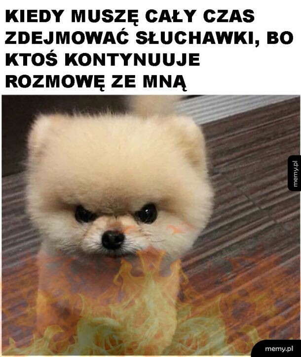 Złość
